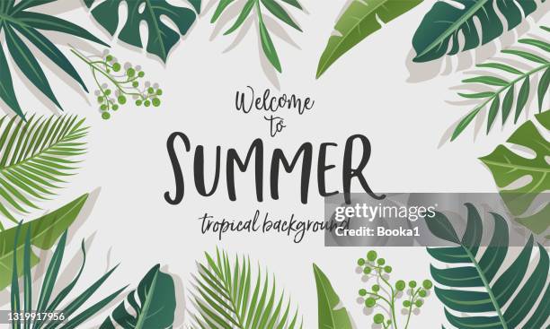 tropical summer design banner - banana leaves stock illustrations
