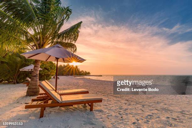 beautiful tropical sunset scenery, two sun beds, loungers, umbrella under palm tree. white sand, sea view with horizon, colorful twilight sky, calmness and relaxation. inspirational beach resort hotel - reclining chair stock pictures, royalty-free photos & images