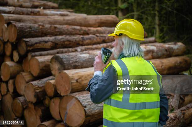 mature man drinking from a reusable coffee cup - pine wood stock pictures, royalty-free photos & images