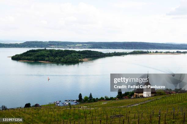 vineyards and ligerz church at side of lake of biel at ligerz, switzerland - biel foto e immagini stock