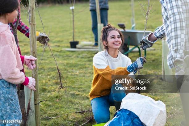 thanks for your help! - planting tree stock pictures, royalty-free photos & images