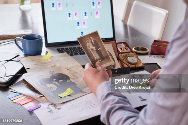 genealogy - genealogy stock pictures, royalty-free photos & images