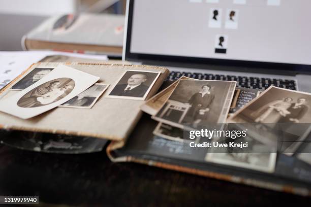 genealogy - stamboom stockfoto's en -beelden