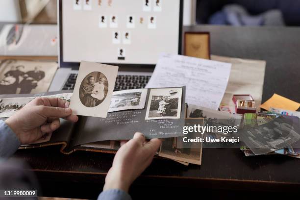 genealogy - holding photo stock pictures, royalty-free photos & images