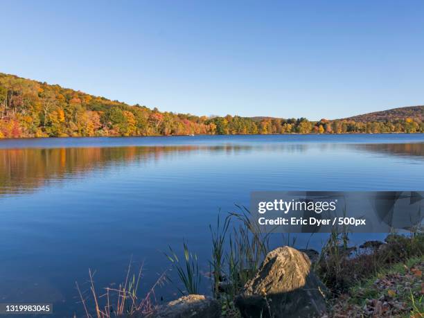 scenic view of lake against clear sky,warren,connecticut,united states,usa - warren connecticut stock-fotos und bilder