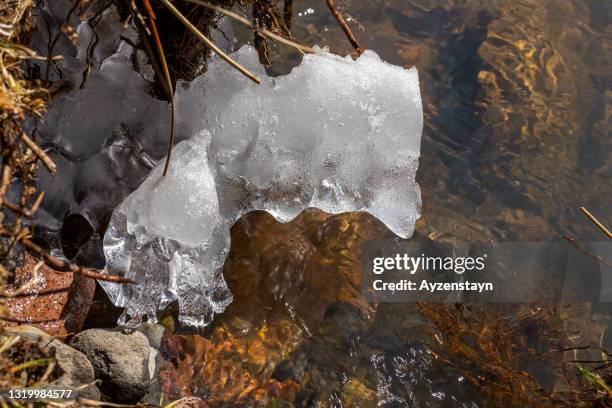 ice with bushes in stream - body of water - stream body of water fotografías e imágenes de stock