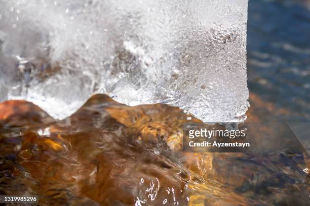 ice with bushes in stream - body of water - stream body of water fotografías e imágenes de stock
