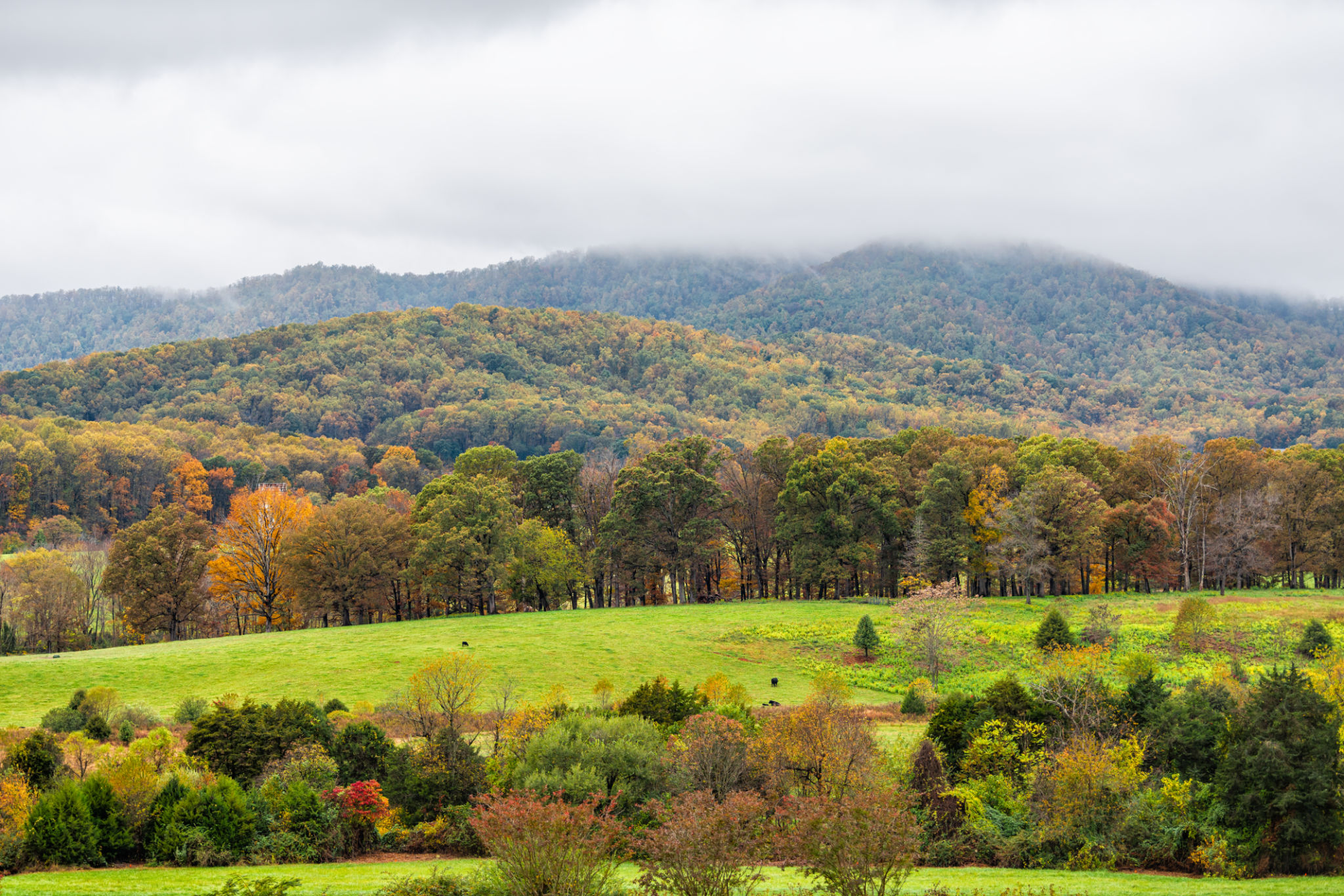 charlottesville real estate