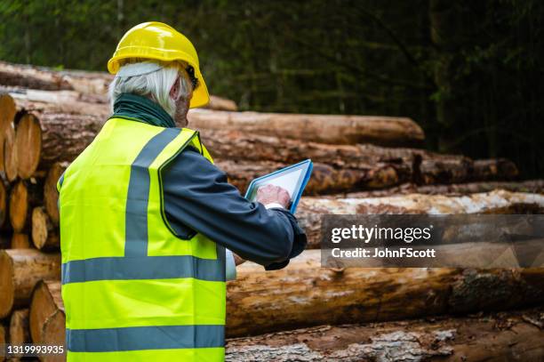 mature man using a digital tablet in a forest - forestry industry stock pictures, royalty-free photos & images