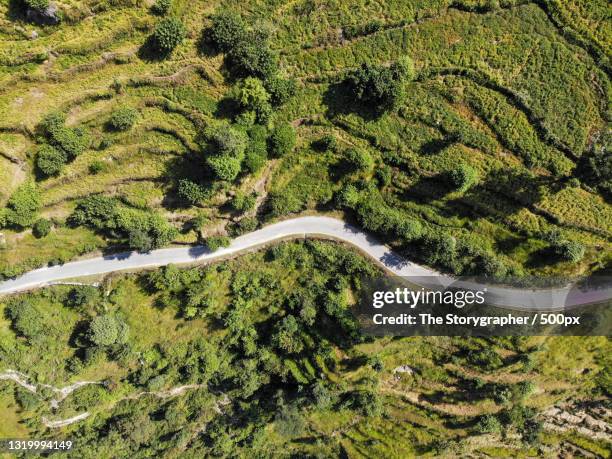 high angle view of road amidst trees in forest,india - the storygrapher - fotografias e filmes do acervo