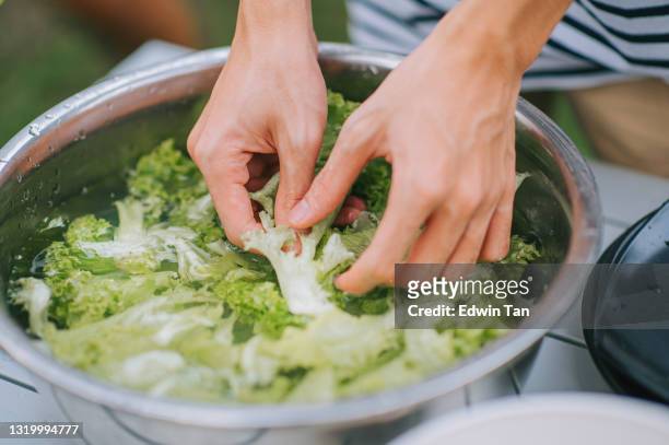 manos de los adolescentes hermanos chinos asiáticos limpiando y cortando verduras preparando la cocina de alimentos en la tienda de camping para la familia - lechuga fotografías e imágenes de stock