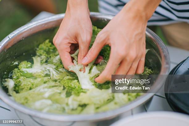 hands of asian chinese sibling teenagers cleaning and cutting vegetables preparing food cooking at camping tent for family - alface imagens e fotografias de stock