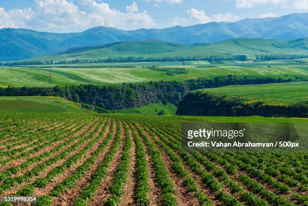 scenic view of agricultural field against sky,lori province,armenia - armenia country stock pictures, royalty-free photos & images