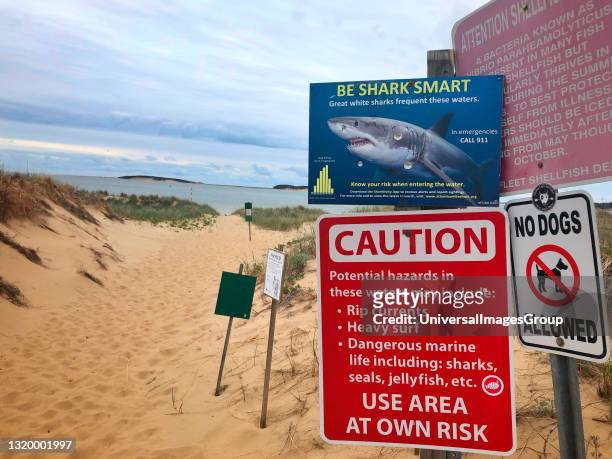 Warning sign for Great White Shark Biting Incidents, Indian Neck Beach, Cape Cod, MA.