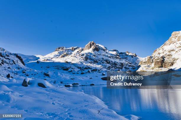 mercantour national park, france - mercantour stockfoto's en -beelden