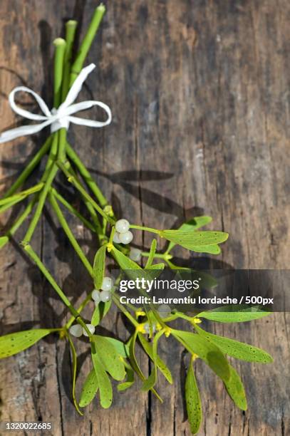 high angle view of plant on wooden table - parasit stockfoto's en -beelden