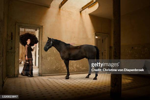 old fashioned woman with horse - king royal person stock pictures, royalty-free photos & images