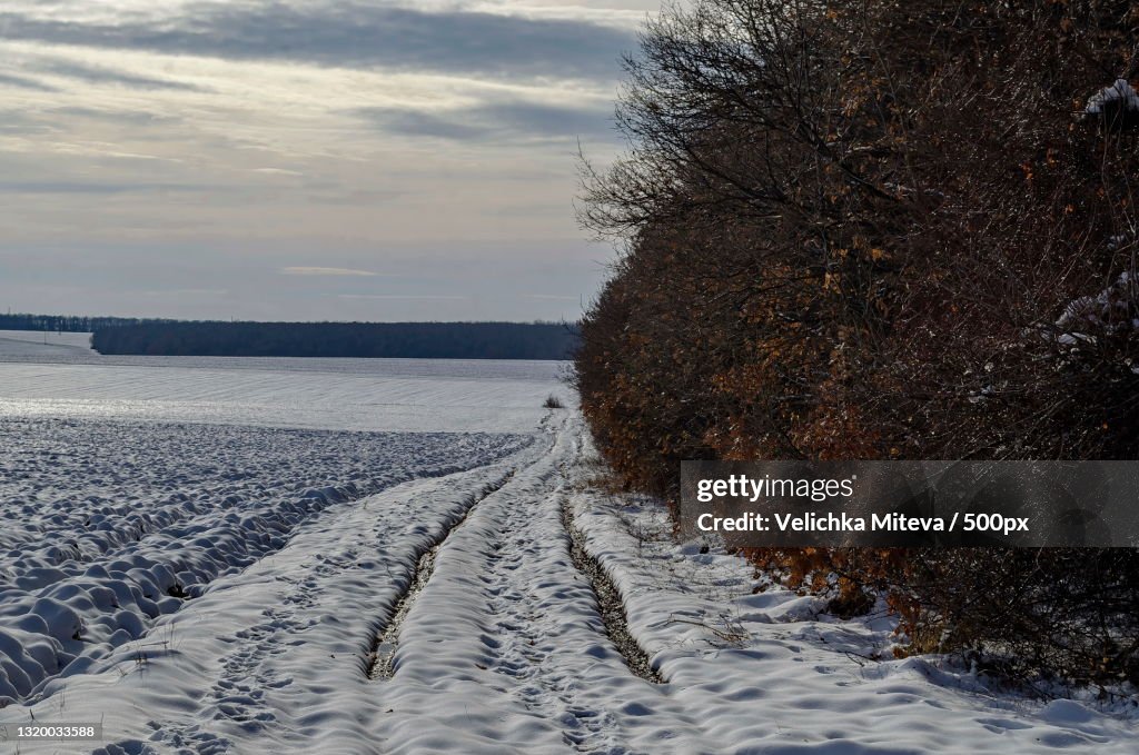 Scenic view of snow covered field against sky,Zavet,Bulgaria