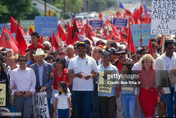 McFARLAND, CALIFORNIA United Farm Workers President Cesar Chavez is joined Presidential candidate Jesse Jackson during a support walk, June 4, 1988...