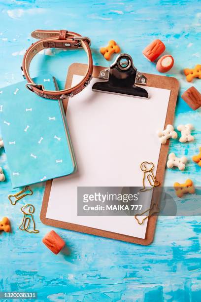 top view blank clipboard for mock-up and notepad, dog items like collar, biscuits bone shaped, clips dog and bone shaped on blue background. - dog blue background stock pictures, royalty-free photos & images