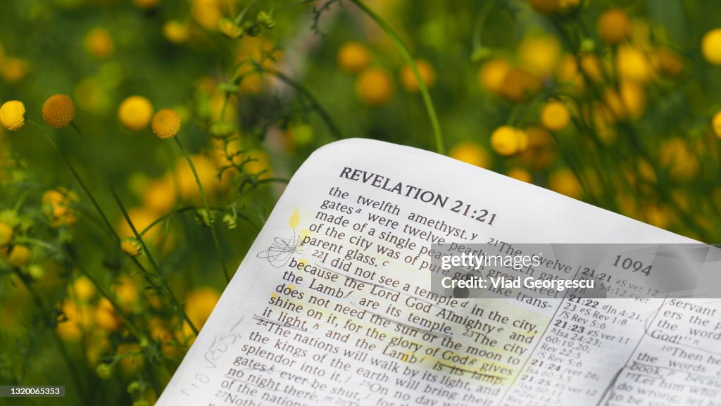 Revelation 21:21