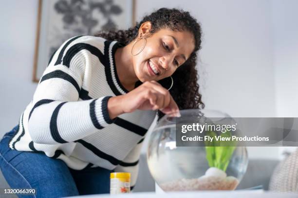 beautiful woman feeds a pet fish - fish love imagens e fotografias de stock