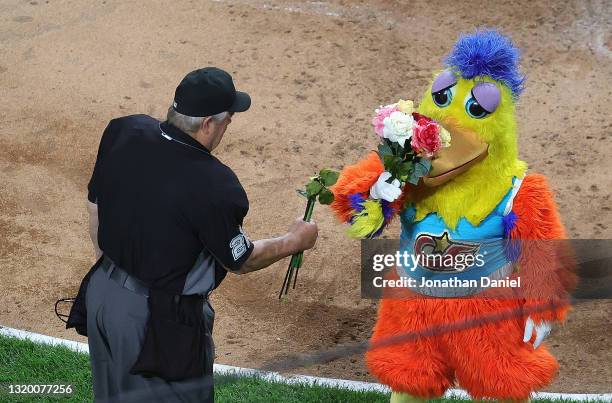 The San Diego Chicken takes fake flowers away from umpire Joe West who is umpiring a record breaking game between the Chicago White Sox and the St....