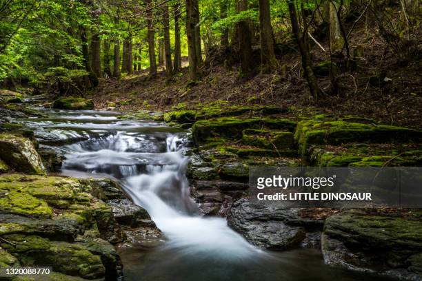 a mountain stream that flows through rocks. nabari, mie japan - mie prefecture stock pictures, royalty-free photos & images