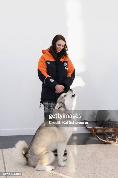 New Zealand Prime Minister Jacinda Ardern poses with a husky during a visit to the International Antarctic Centre on May 26, 2021 in Christchurch,...