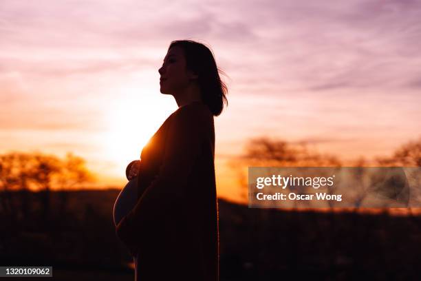 silhouette of pregnant woman relaxing in park against dramatic sky during sunset - pregnant isolated stock pictures, royalty-free photos & images