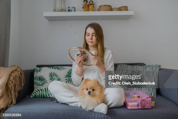 kvinna med hund broderar modernt hemma - leksakshund bildbanksfoton och bilder