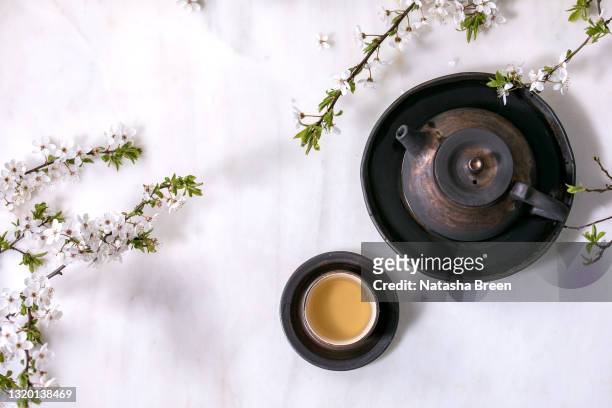 black handmade ceramic teapot for tea ceremony - ティーポット ストックフォトと画像