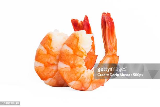 close-up of prawns against white background - garnele stock-fotos und bilder