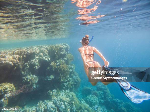 woman dives in tropical sea, underwater shot - egypt beach stock pictures, royalty-free photos & images