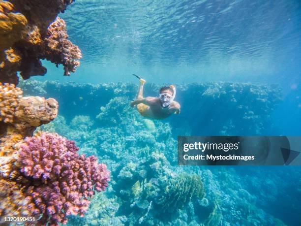 man dives in tropical sea, underwater shot - mergulhador imagens e fotografias de stock