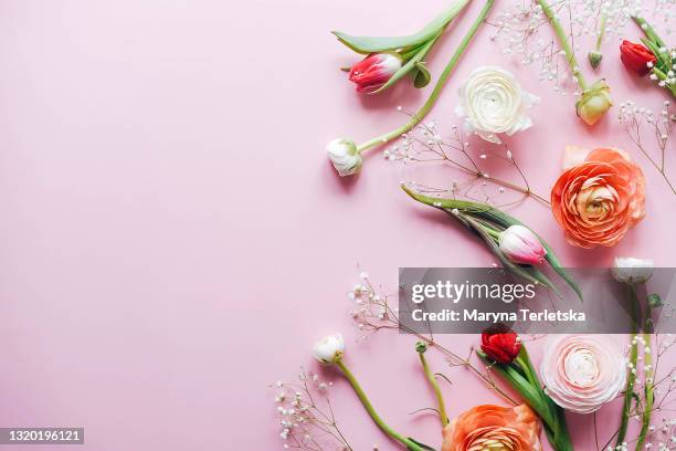 pink background with various beautiful flowers. - femminilità foto e immagini stock