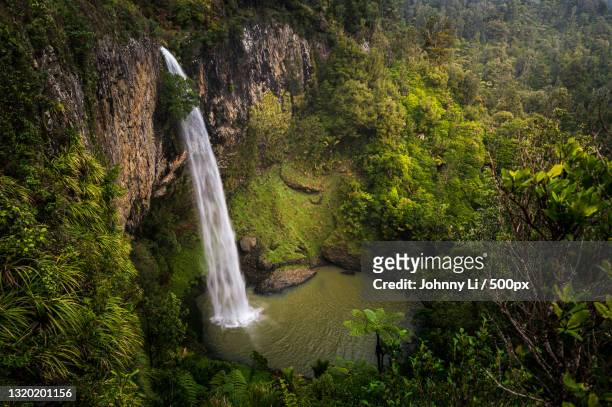 scenic view of waterfall in forest,new zealand - timelapse new zealand stock pictures, royalty-free photos & images