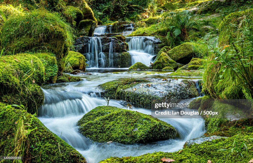 Scenic view of waterfall in forest,Newton Abbot,United Kingdom,UK