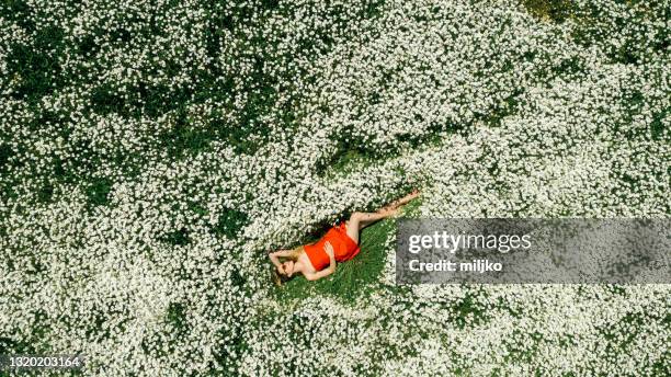 beautiful woman lying on flower field - white flower stock pictures, royalty-free photos & images
