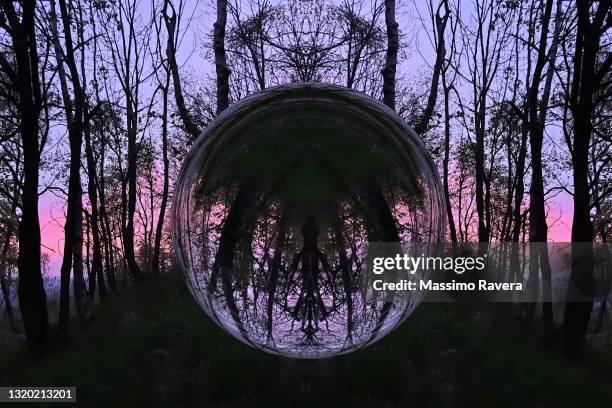 spooky forest and magic glass orb. - wiccan stock pictures, royalty-free photos & images