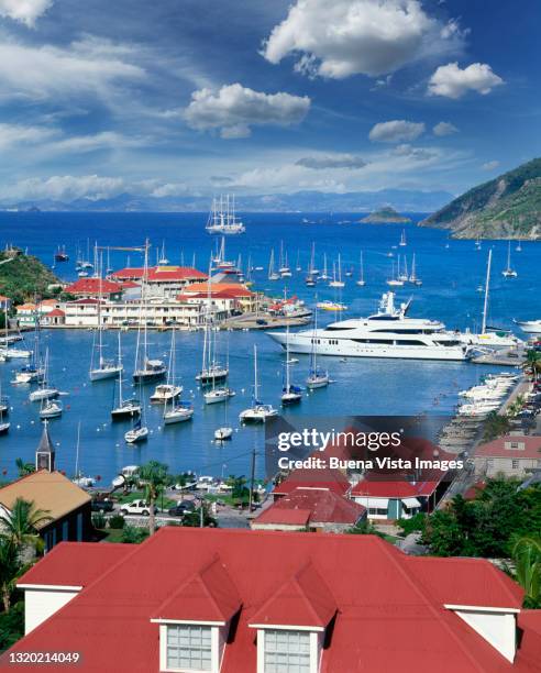 yachts moored in a caribbean port - gustavia harbour stock pictures, royalty-free photos & images