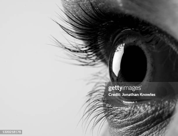 extreme close up eye and eyelashes - woman black and white stock pictures, royalty-free photos & images