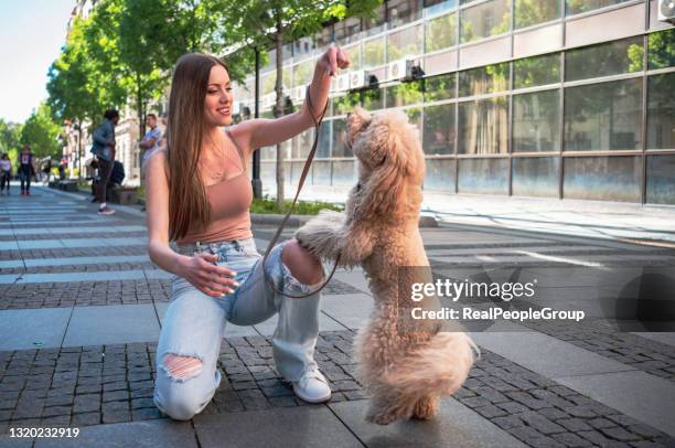 beautiful girl playing with her dog on the street - dog trainer stock pictures, royalty-free photos & images