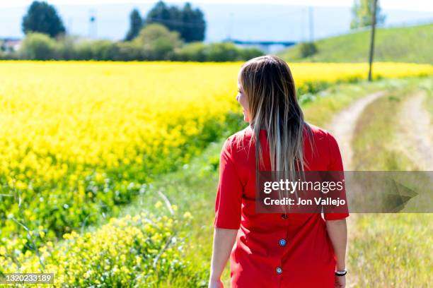 foto de espaldas de una mujer rubia que va caminando al lado de un campo lleno de flores amarillas. estas flores se llaman colza o canola. la mujer lleva puesto un vestido rojo con botones en su espalda. - botones stockfoto's en -beelden