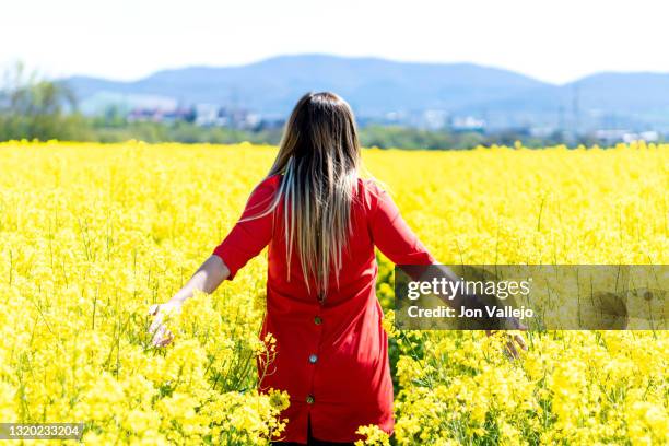 foto de espaldas de una mujer rubia que se esta adentrando en un campo lleno de flores amarillas. estas flores se llaman colza o canola y con ellas se suele elaborar un tipo de aceite. la mujer lleva puesto un vestido rojo con botones a su espalda. - mujer de espaldas foto e immagini stock