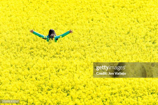 mujer con cazadora de cuero verde de espaldas en un campo muy grande de flores amarillas. estas flores se llaman colza o canola con la que se elabora un tipo de aceite. - mujer de espaldas foto e immagini stock