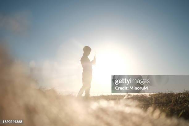 silhouette of boy standing in the field full of sunlight, holding grasses - japan sunrise stock-fotos und bilder