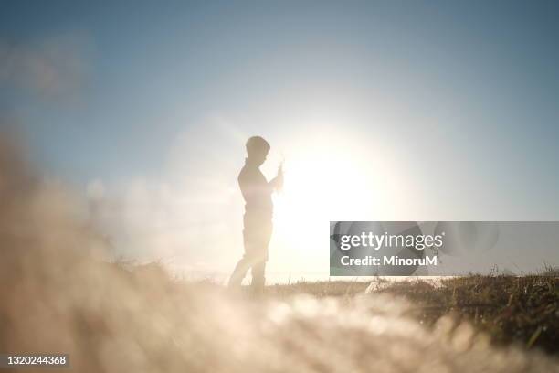 silhouette of boy standing in the field full of sunlight, holding grasses - purity foto e immagini stock
