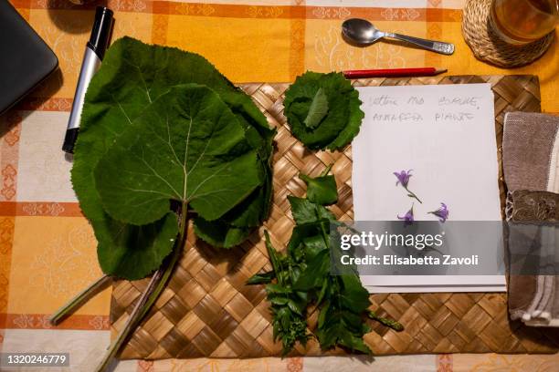 Freshly picked herbs lay on the kitchen table of Daniela Di Bartolo on May 26, 2021 in Abruzzo, Italy. Di Bartolo is a healing herbalist woman who...