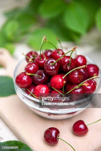 ripe cherries in glass bowl against summer foliage - cerise photos et images de collection